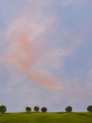 Expansive sky artwork with warm pink-orange clouds above trees/
