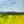 Abstract painting of yellow jonquilles in field under blue sky
